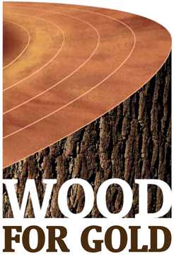 wood_for_gold_logo.jpg